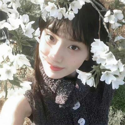群居姐妹